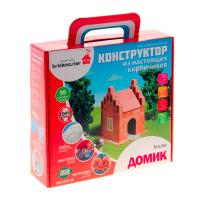Конструктор из кирпичиков Брикмастер Домик